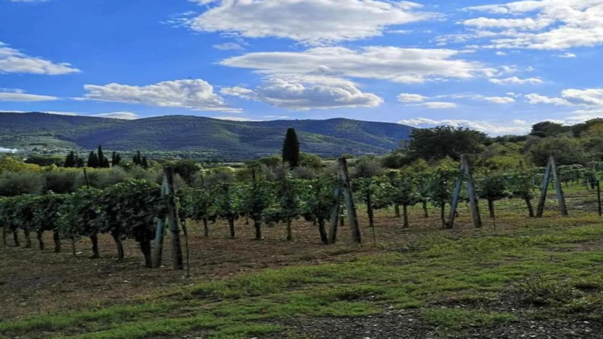 Belvilla By Oyo Giardino Delle Giare Castiglion Fiorentino 0*,  Olaszország